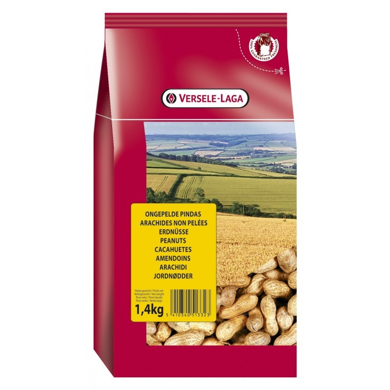 Arachides entières - 1.4 kg Arachides entières - 1.4 kg