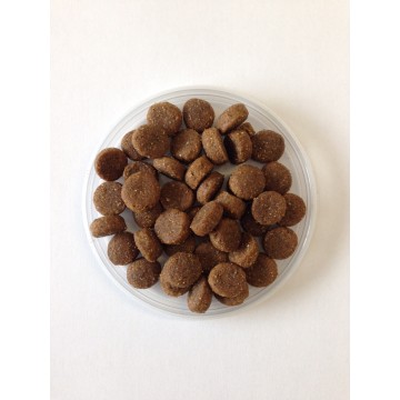 Croquettes Costanatur Maintenance Élevée 20 Kg - Pour Chien Adulte Actif, Au Poulet, Complet Et équilibré