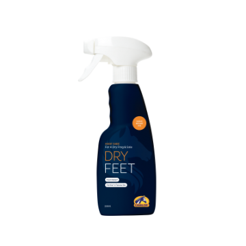 Dry Feet