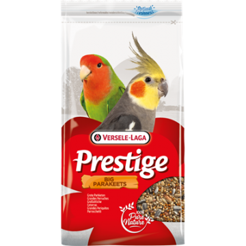 Prestige Grande Perruche