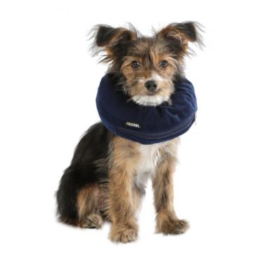 Collerette pour chien gonflable bleue