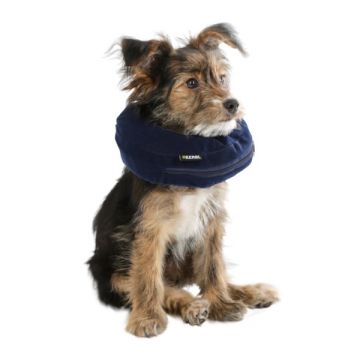 Collerette pour chien gonflable bleue