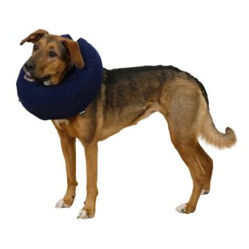 Collerette pour chien gonflable bleue