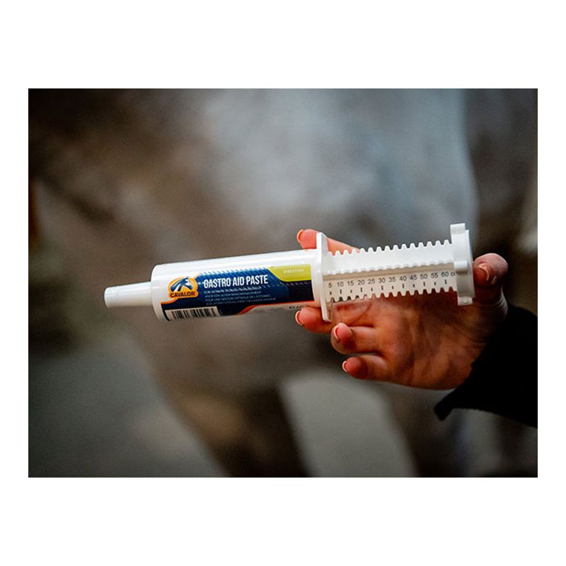 Gastri Aid Paste Gastri Aid Paste