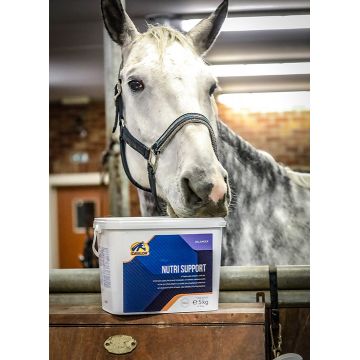 Cavalor Supplément Nutri Support