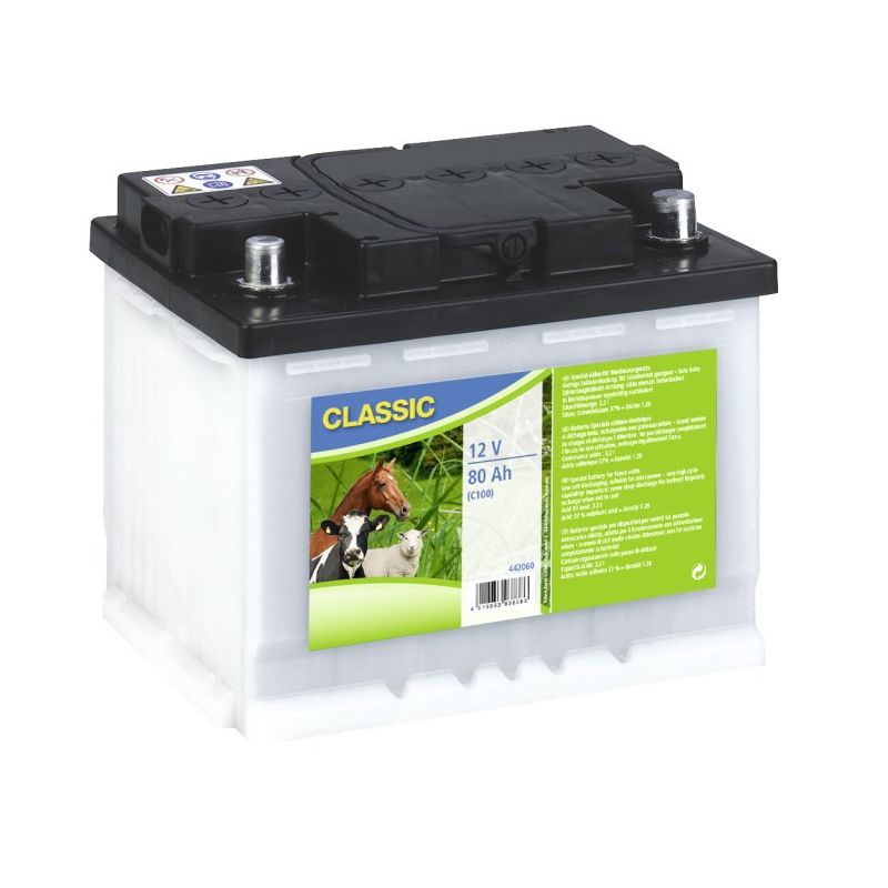 Batterie de clôture 12V 55AH prêt à l'emploi Batterie de clôture 12V 55AH prêt à l'emploi