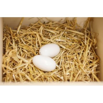 Oeufs de poule factices en bois par 2 pièces