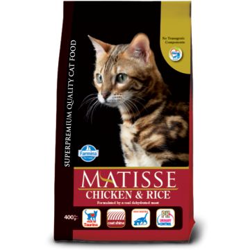 Matisse adulte au poulet