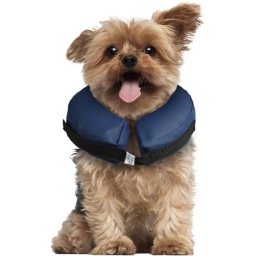 Collerette de protection Gofi