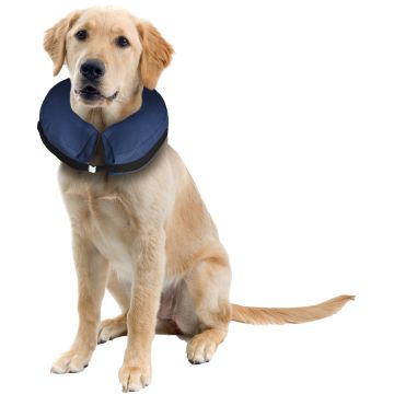 Collerette de protection Gofi