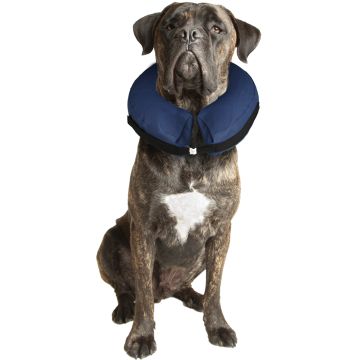 Collerette de protection Gofi