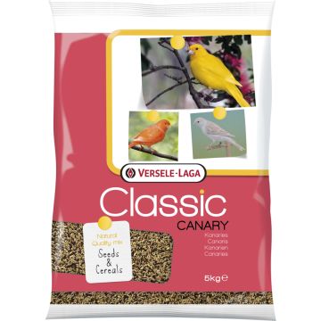 Classic Canaris 5 kg