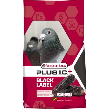 Aliment pour pigeon Black Label Start