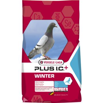 winter plus IC+