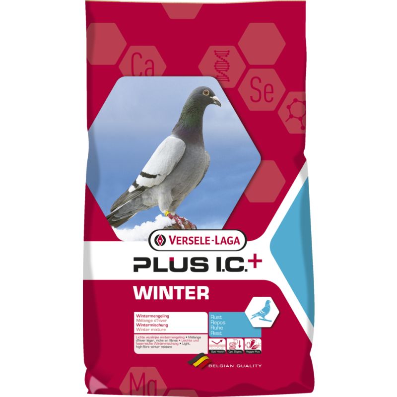 winter plus IC+ winter plus IC+