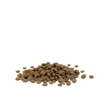 Opti life Cat Sterilzed / Light