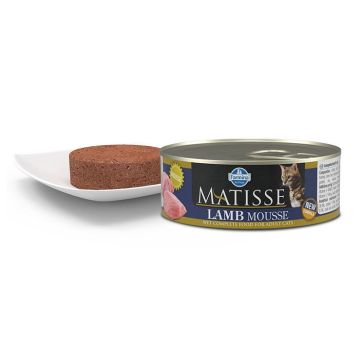 Matisse mousse à l'agneau