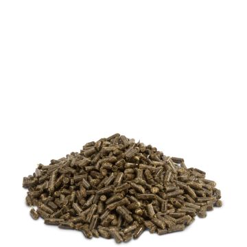 Crispy - Chinchillas & Degus - Pellets 3mm - 25 kg