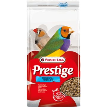 Prestige oiseaux exotiques