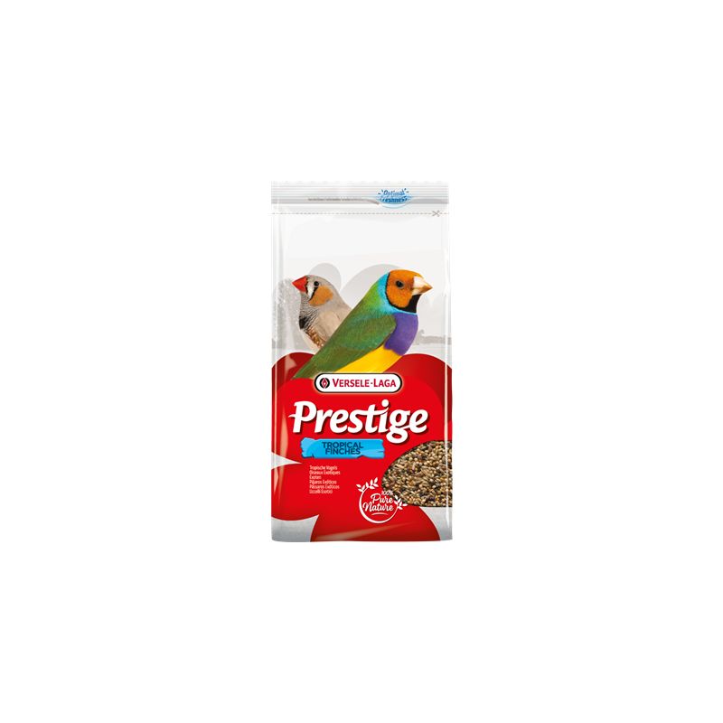 Prestige oiseaux exotiques Prestige oiseaux exotiques