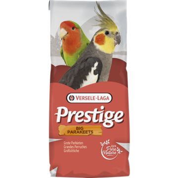 Prestige Grandes Perruches / Euphèmes 