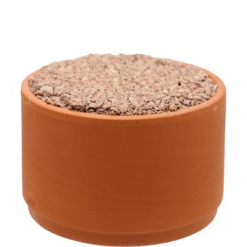 Pickstone red "tray 5 + 1" - Brique à picorer Rouge pour pigeon