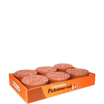 Pickstone red "tray 5 + 1" - Brique à picorer Rouge pour pigeon