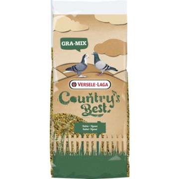 Gra mix pigeon
