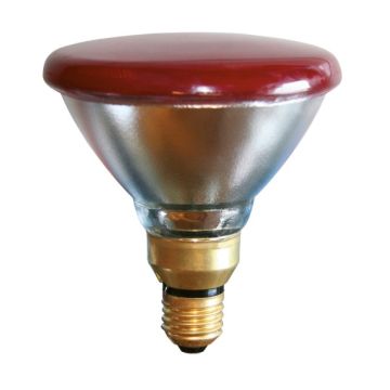 Lampe infrarouge économique 175W rouge