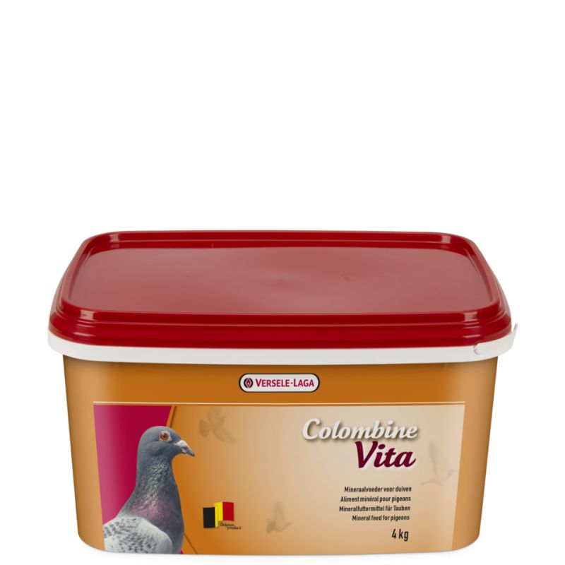 Vita Vita