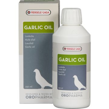 Garlic Oil