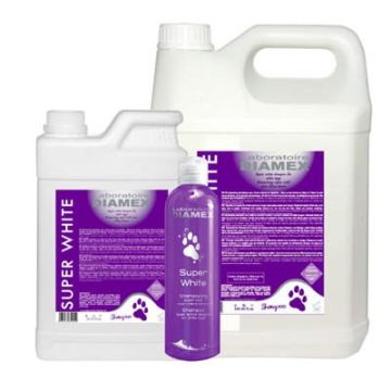 Shampooing Super white