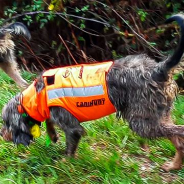 Gilet de protection PROTECT ECO 