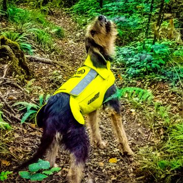 Gilet de protection PROTECT PRO CANO JAUNE