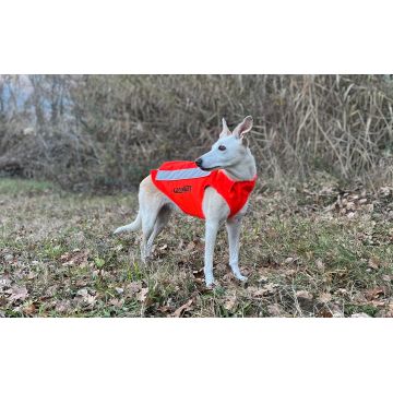 Gilet de signalisation FLASH V3