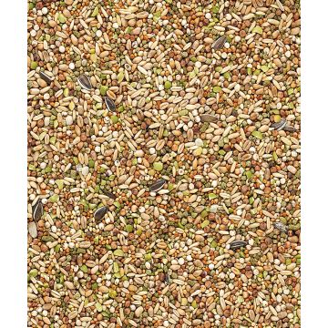 Snack Garden Mix 