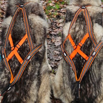 Harnais de Traction X-BACK ONE Orange