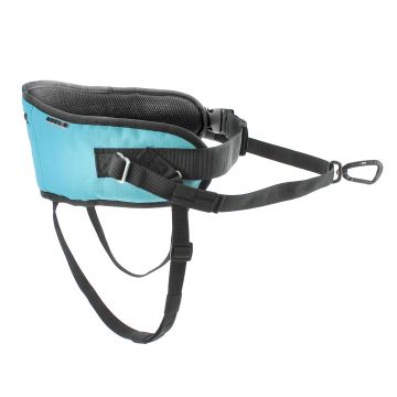 Baudrier Canicross ONE Bleu