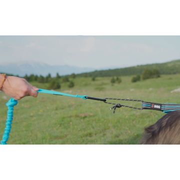 Longe de Traction ONE 150 - 195 cm Bleu