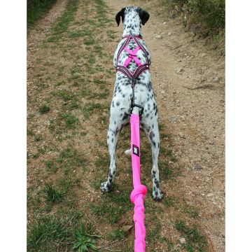 Longe de Traction ONE 150 - 195 cm Rose
