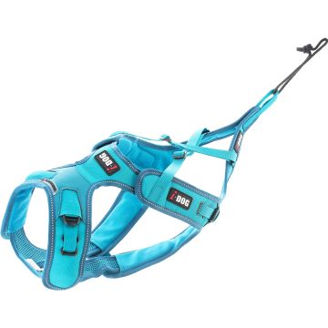 Harnais X-BACK Phoenix Réglable