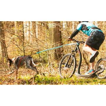 Longe de Cani-VTT OPALE 165 - 240 cm Bleu