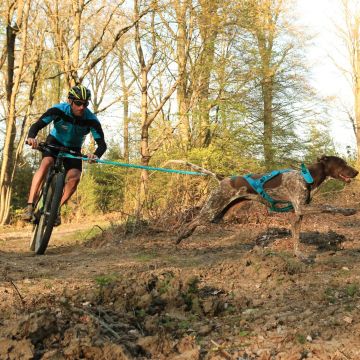 Longe de Cani-VTT OPALE 165 - 240 cm Bleu