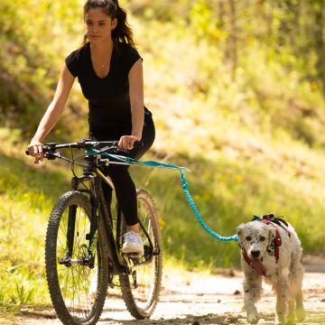 Barre Cani-VTT LINK