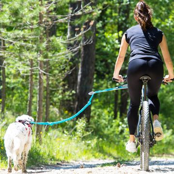 Barre Cani-VTT LINK