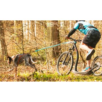 Barre Cani-VTT LINK