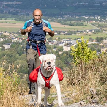 Ceinture Sac à dos multiusage Ventoux Rouge
