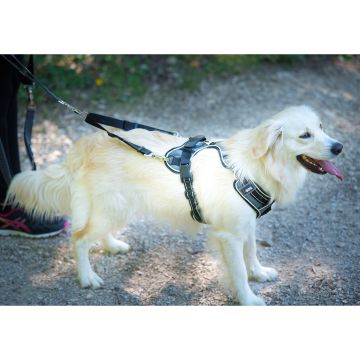 Accouple UPKA réglable 2 chiens 20 / 34 cm Noir