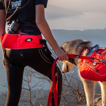 Baudrier Canicross CONFORT TREK Rouge