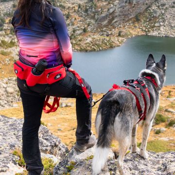 Baudrier Canicross CONFORT TREK Rouge